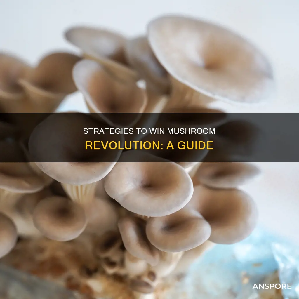how to win mushroom revolution