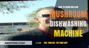 Mastering the Mellow Mushroom Dishwashing Machine: A Step-by-Step Guide