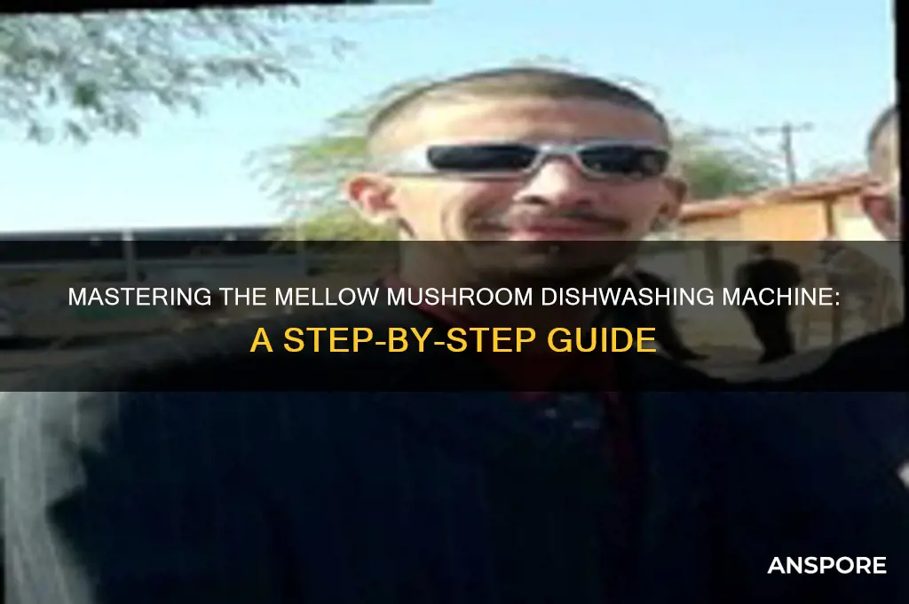 how to work mellow mushroom dishwashing machine