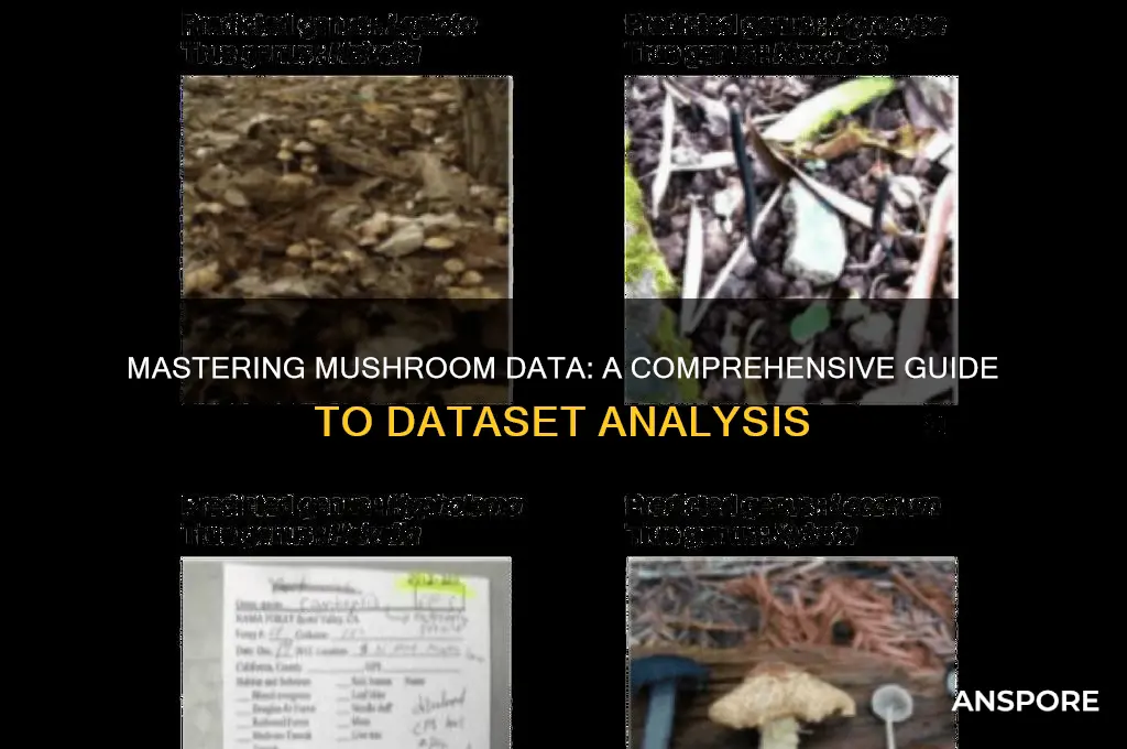 how to work on mushroom dataset