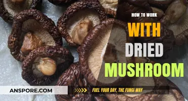 Mastering Dried Mushrooms: Tips for Rehydrating and Cooking Deliciously