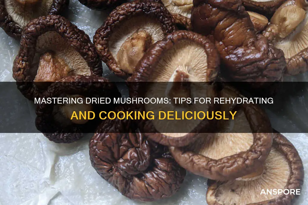 how to work with dried mushrooms