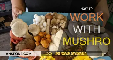 Grow, Care, and Cook: A Guide to Mushrooms