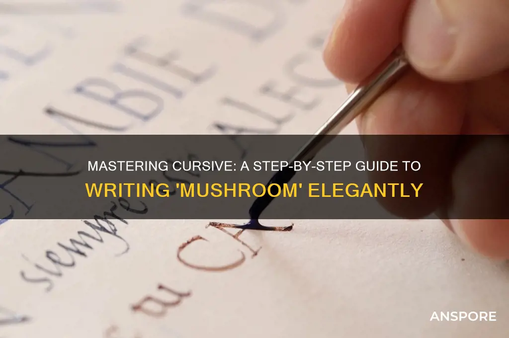 how to write mushroom in cursive
