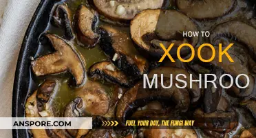 The Ultimate Guide to Cooking Mushrooms