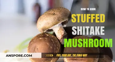 Mastering Stuffed Shiitake Mushrooms: A Flavorful Cooking Guide