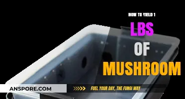 Mastering Mushroom Cultivation: A Guide to Growing 1 Pound Yield