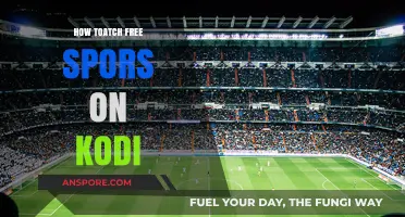 Watch Free Sports on Kodi: Easy Setup Guide for Beginners