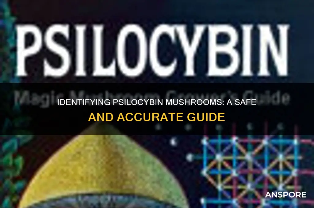 how too check if mushrooms are psylocybin