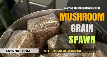 Mastering Mushroom Grain Spawn: Perfect Brown Rice Preparation Guide
