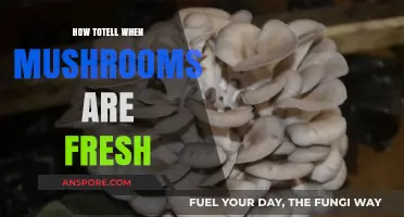 Spotting Fresh Mushrooms: Essential Tips for Quality and Flavor