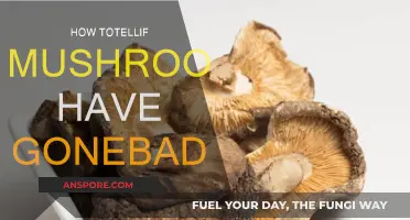 Spotting Mushrooms Gone Bad: A Quick Guide