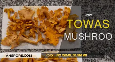 The Ultimate Guide to Cleaning Mushrooms