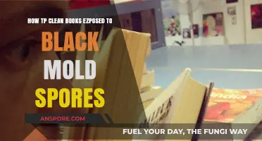 Effective Methods to Clean Books Exposed to Black Mold Spores