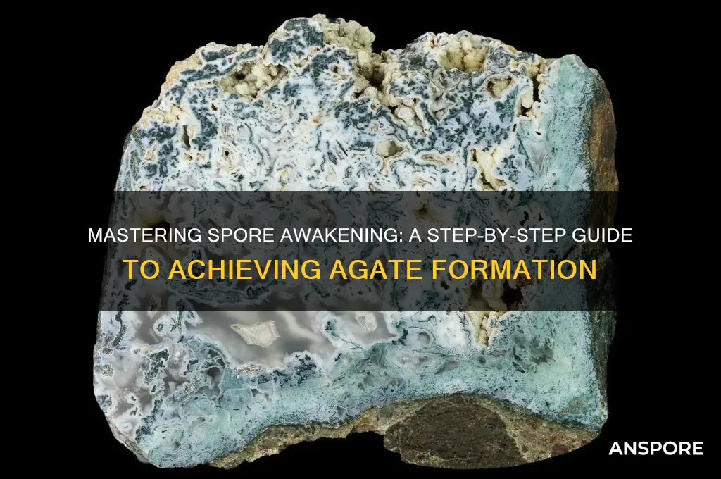 how tp do spore awab to agat