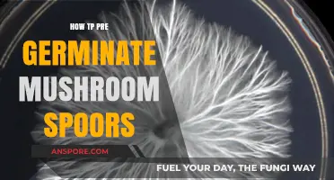 Mastering Mushroom Cultivation: Pre-Germinating Spores for Successful Growth