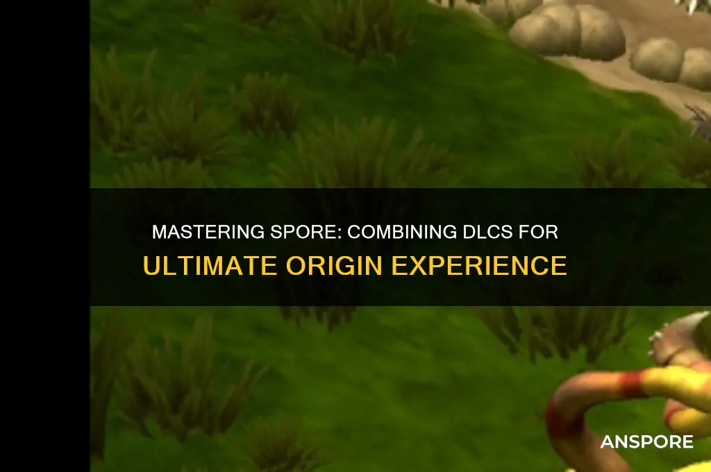 how use have both dlc