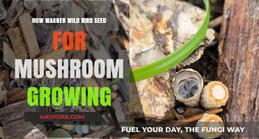 Using Wagner Wild Bird Seed for Mushroom Growing: Tips and Tricks