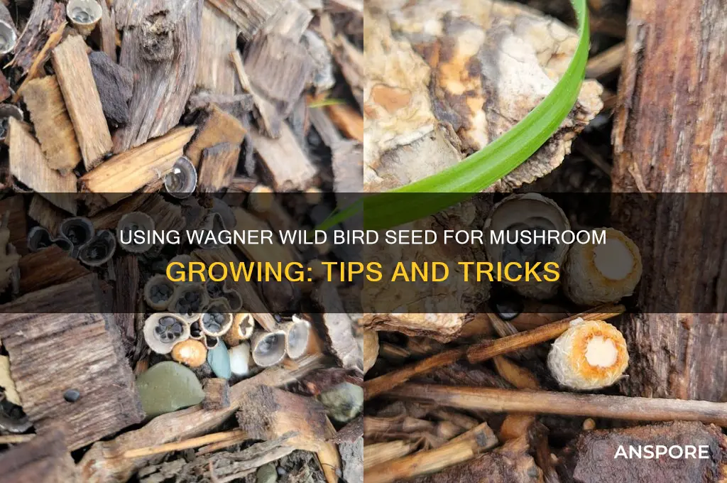 how wagner wild bird seed for mushroom growing