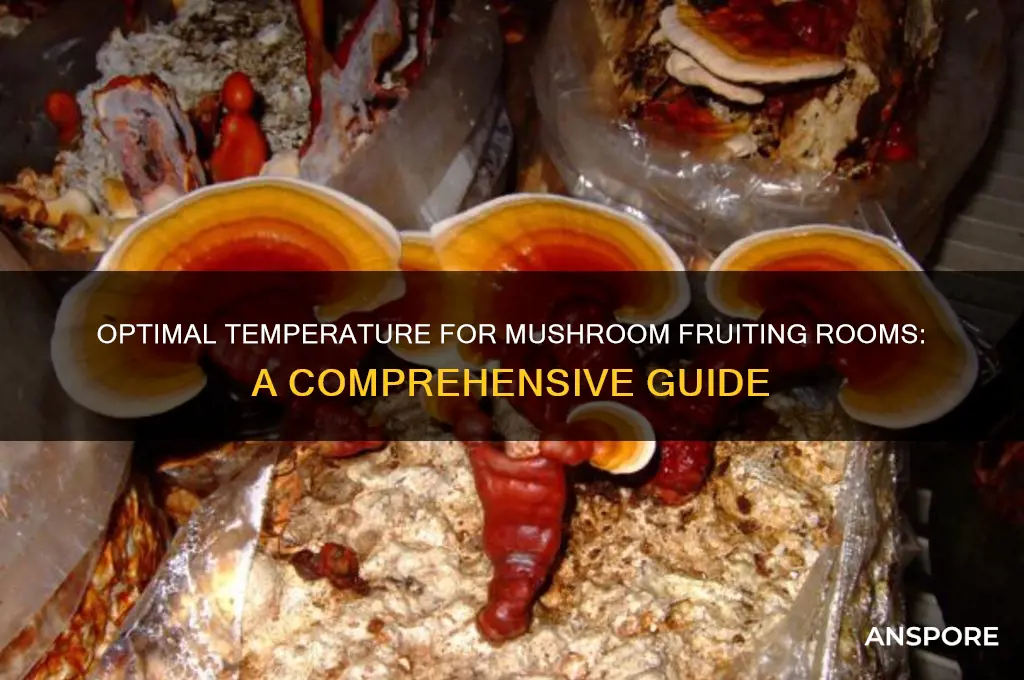 how warm should a mushroom fruiting room be