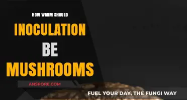 Optimal Inoculation Temperatures for Successful Mushroom Cultivation Explained