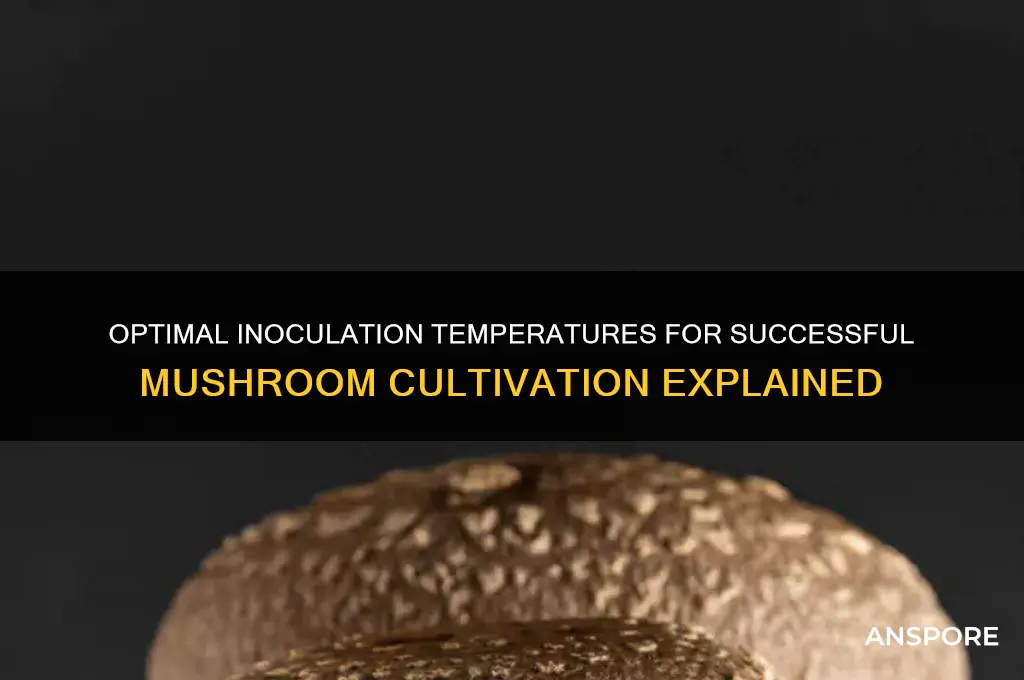 how warm should inoculation be mushrooms