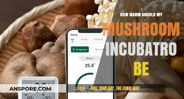 Optimal Mushroom Incubator Temperature: A Guide to Perfect Growth Conditions