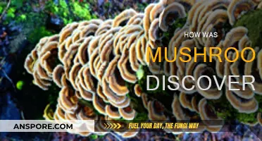 Mushrooms: Ancient Discovery, Modern Mystery