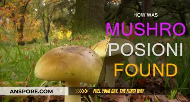 Mushroom Poisoning: How Was It Discovered?