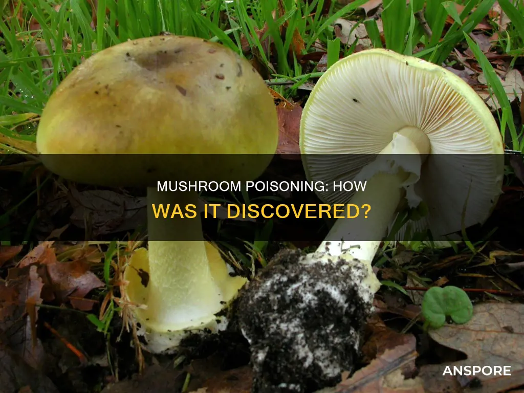 how was mushroom posioning found