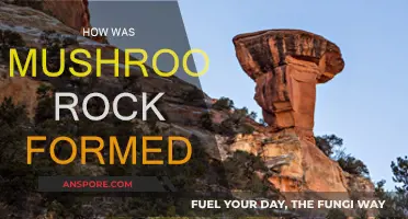 Mushroom Rock: Nature's Unique Geological Formation