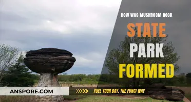Unveiling the Geological Wonders of Mushroom Rock State Park's Formation