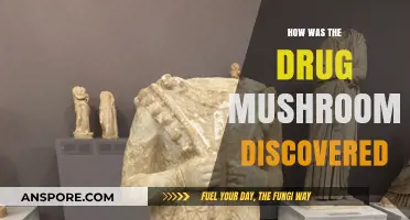 Unveiling the Ancient Origins of Psychedelic Mushrooms: A Historical Journey