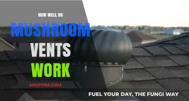 Mushroom Vents: Efficiency, Benefits, and Real-World Performance Explained