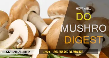 Mushroom Digestion: Understanding Their Unique Process
