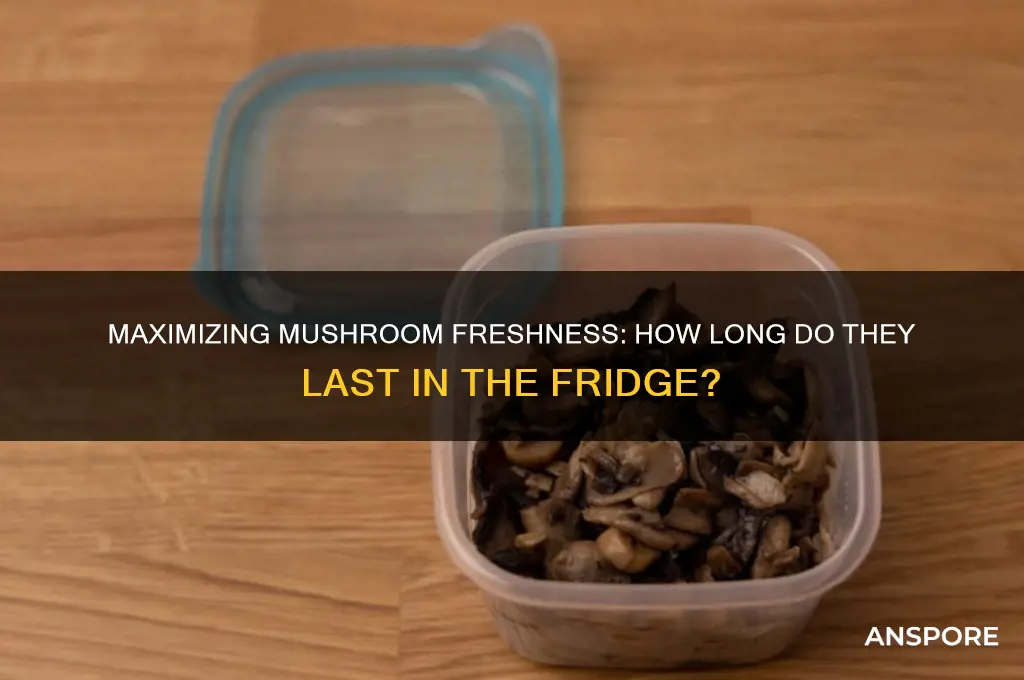 how well do mushrooms last in the fridge