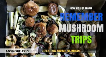 Mushroom Trips: How Well Do People Remember Psychedelic Experiences?