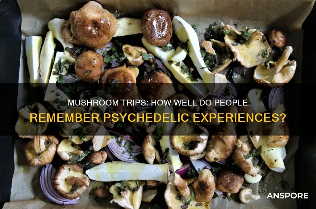 how well do people remember mushroom trips