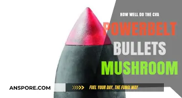 CVA PowerBelt Bullets: Mushrooming Performance and Expansion Tested