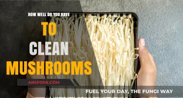 Mastering Mushroom Cleaning: Essential Tips for Safe and Delicious Prep