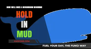 Mushroom Mooring Performance: Stability in Muddy Conditions Explored