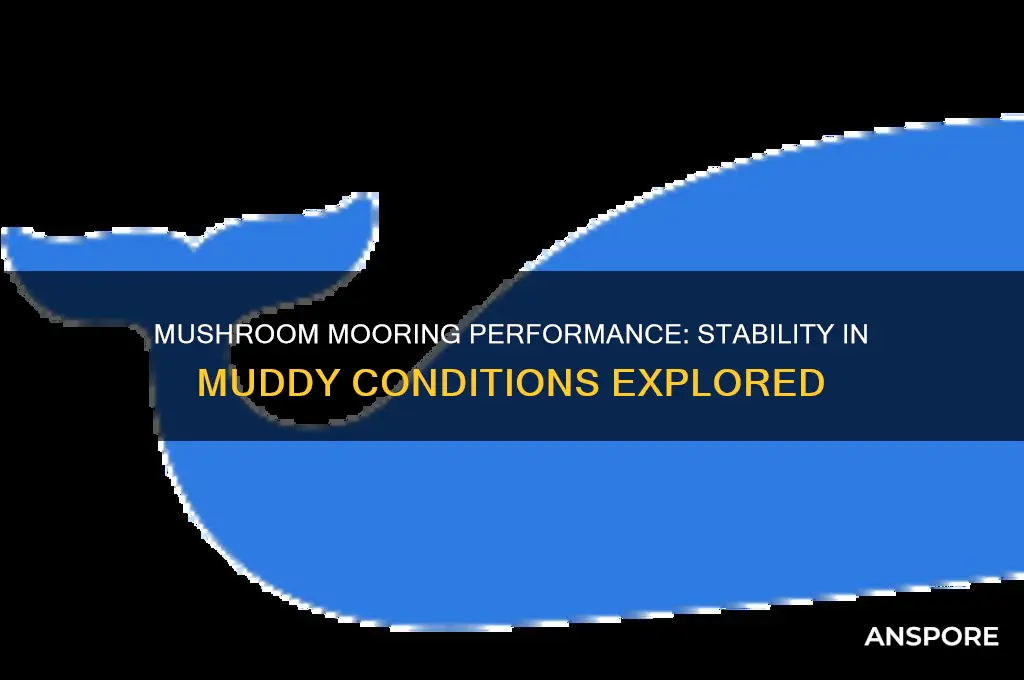 how well does a mushroom mooring hold in mud