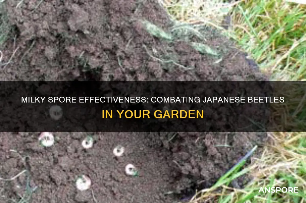 how well does milky spore work