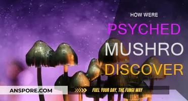 The Discovery of Psychedelic Mushrooms: A Historical Perspective