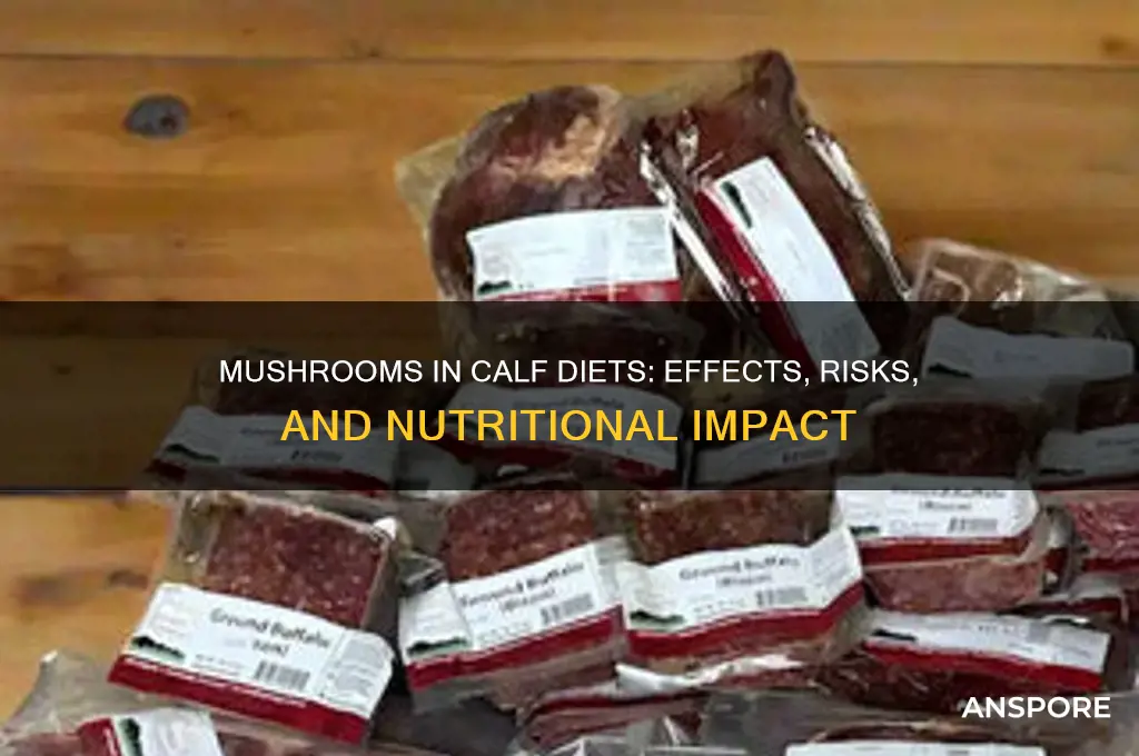 how will eating mushrooms affect a calf
