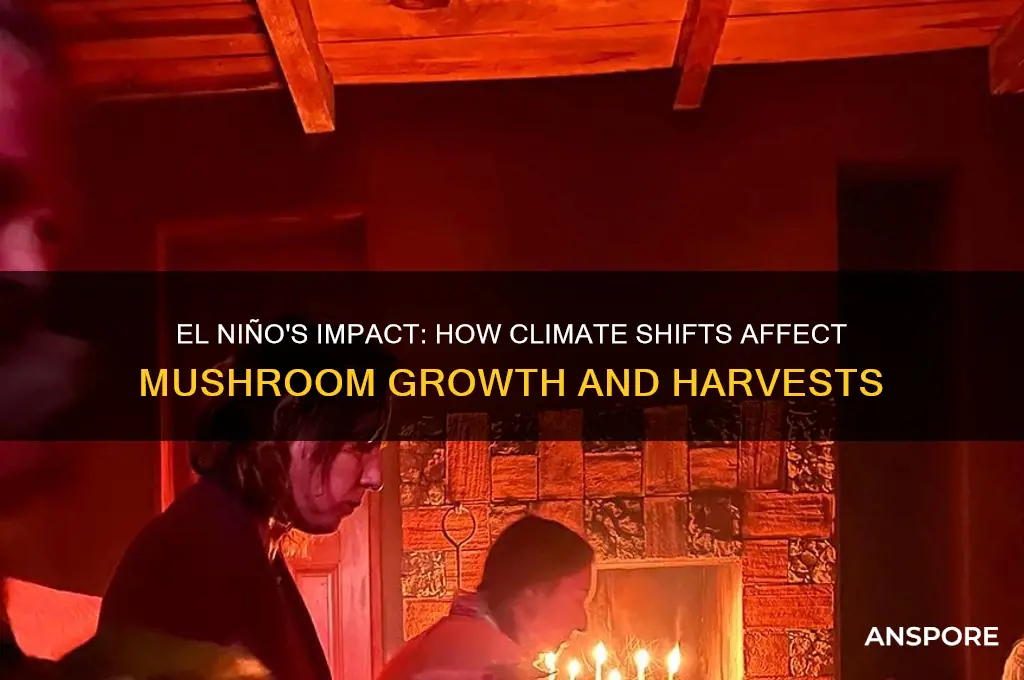 how will el nino effect mushrooms