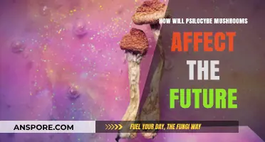 Psilocybe Mushrooms: Shaping Mental Health, Society, and Future Innovations