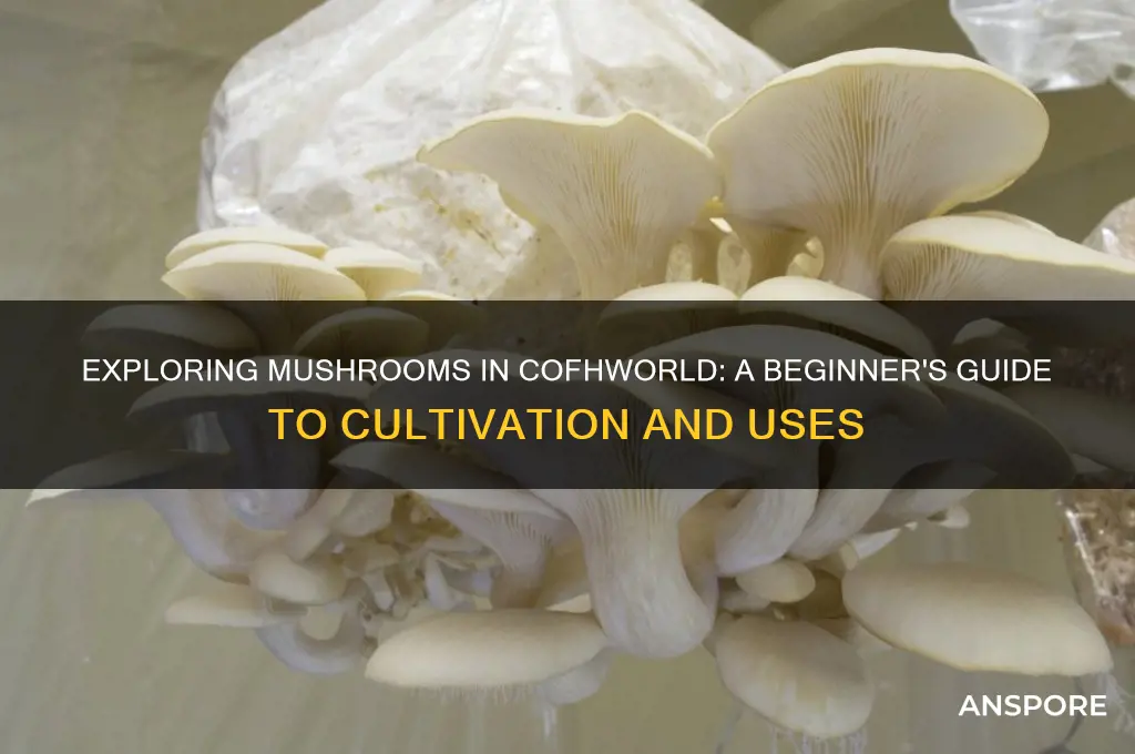 how would i go about mushrooms cofhworld