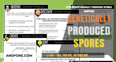 Sexual vs. Genetic Spores: A Comparative Analysis of Genetic Diversity