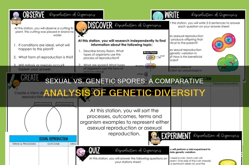 how would sexually produced spores compare genetically produced spores